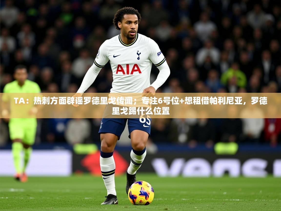2025米兰体育网址TA:热刺方面辟谣罗德里戈传闻;专注6号位+想租借帕利尼亚,罗德里戈踢什么位置 第1张