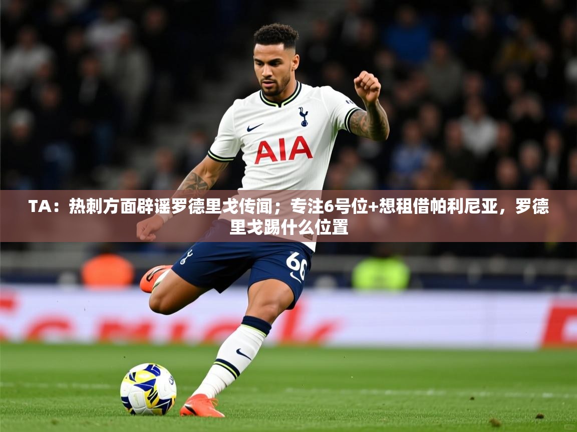 2025米兰体育网址TA:热刺方面辟谣罗德里戈传闻;专注6号位+想租借帕利尼亚,罗德里戈踢什么位置 第2张
