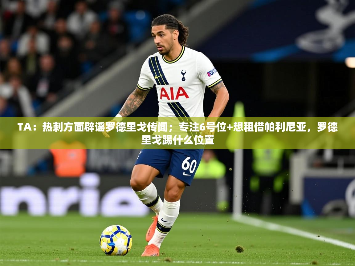 2025米兰体育网址TA:热刺方面辟谣罗德里戈传闻;专注6号位+想租借帕利尼亚,罗德里戈踢什么位置 第3张