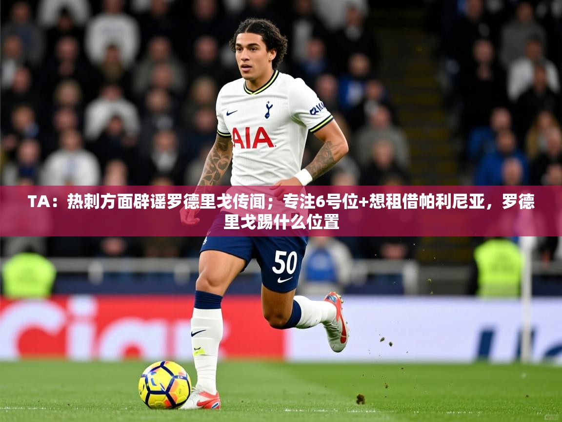 2025米兰体育网址TA:热刺方面辟谣罗德里戈传闻;专注6号位+想租借帕利尼亚,罗德里戈踢什么位置 第4张