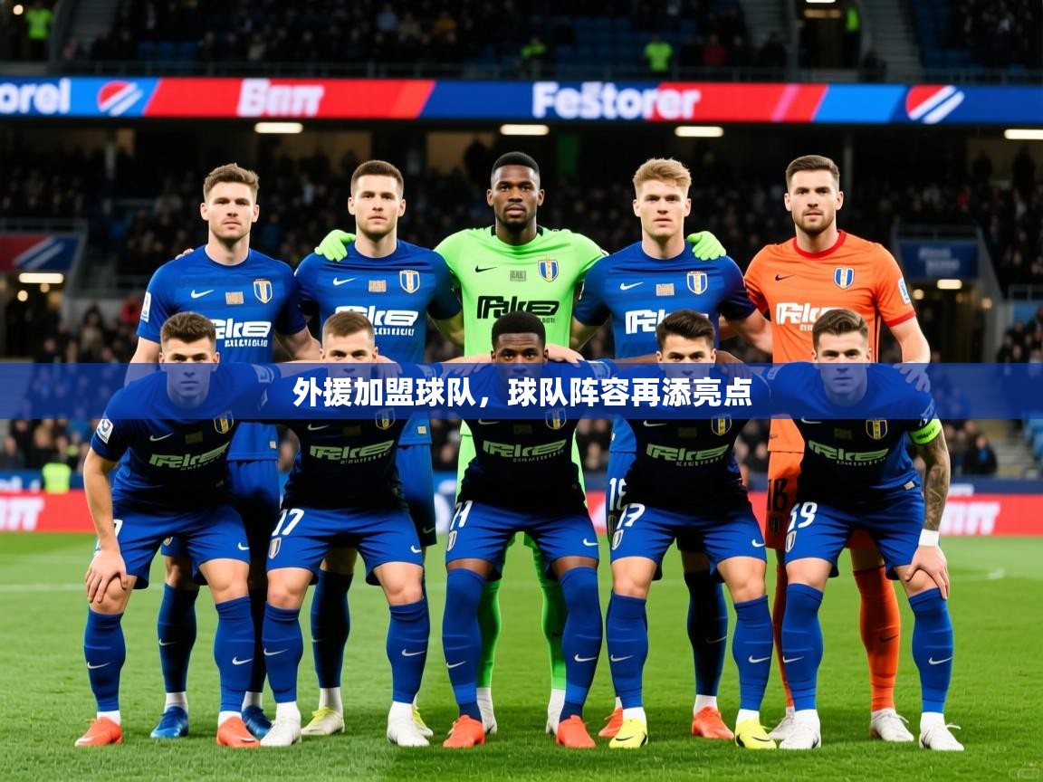 2026米兰体育app官网入口外援加盟球队，球队阵容再添亮点  第1张