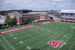 2025米兰体育官方有实力霸王龙队主场失利,晋级前景岌岌可危 第4张